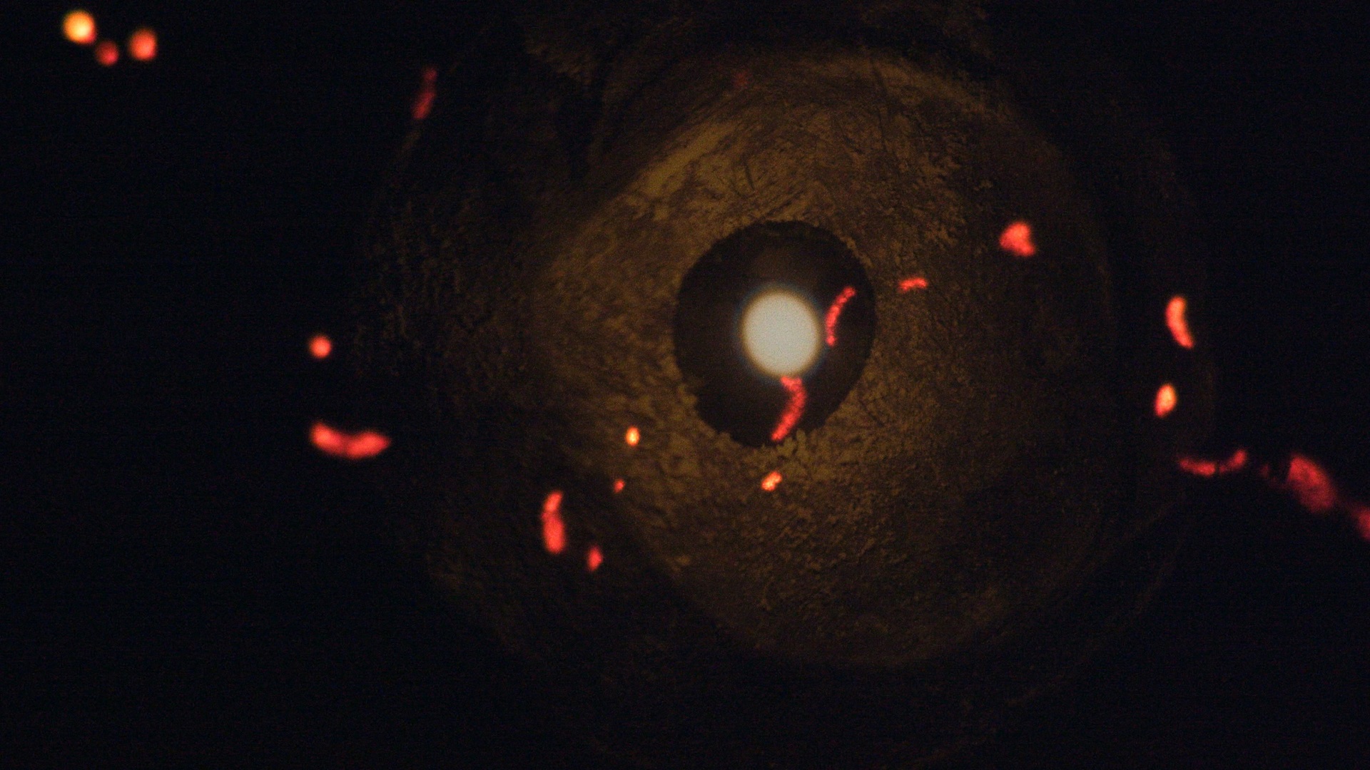 481080363 945705814396994 1731166335173708528 n